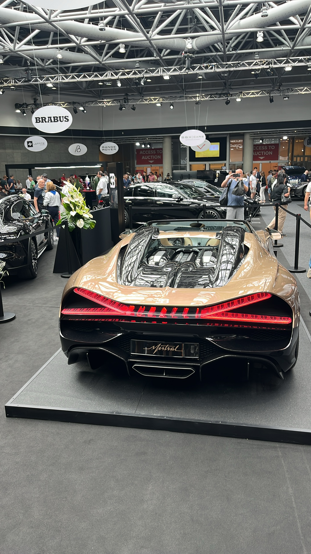 Véhicule capturé pour Top Marques Monaco