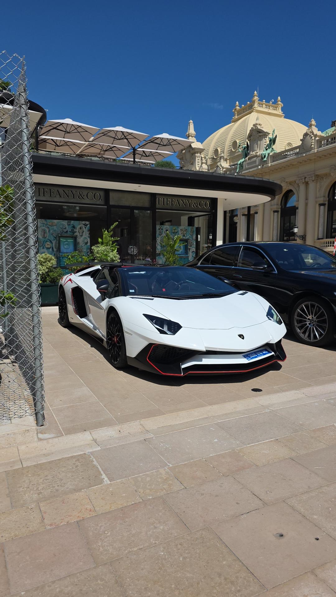 Véhicule capturé pour Top marques monaco 2025 20eme anniversaire 