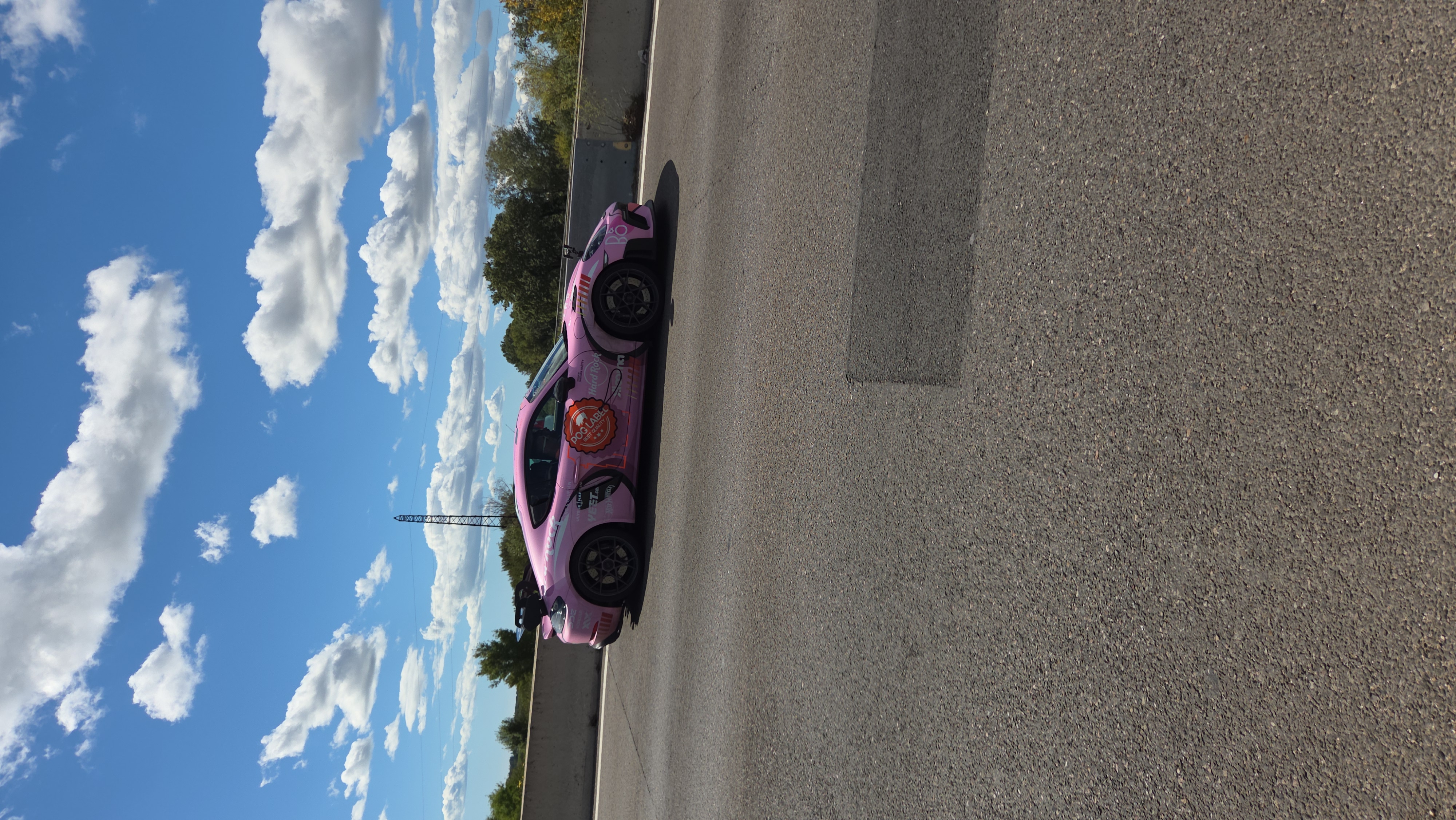 Véhicule capturé pour Gumball 3000 stop nice (06)